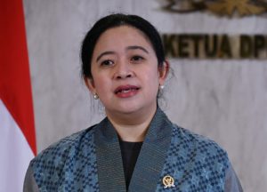 Pakar Komunikasi Politik : Puan Punya Modal Kuat Untuk Menjadi Pemimpin