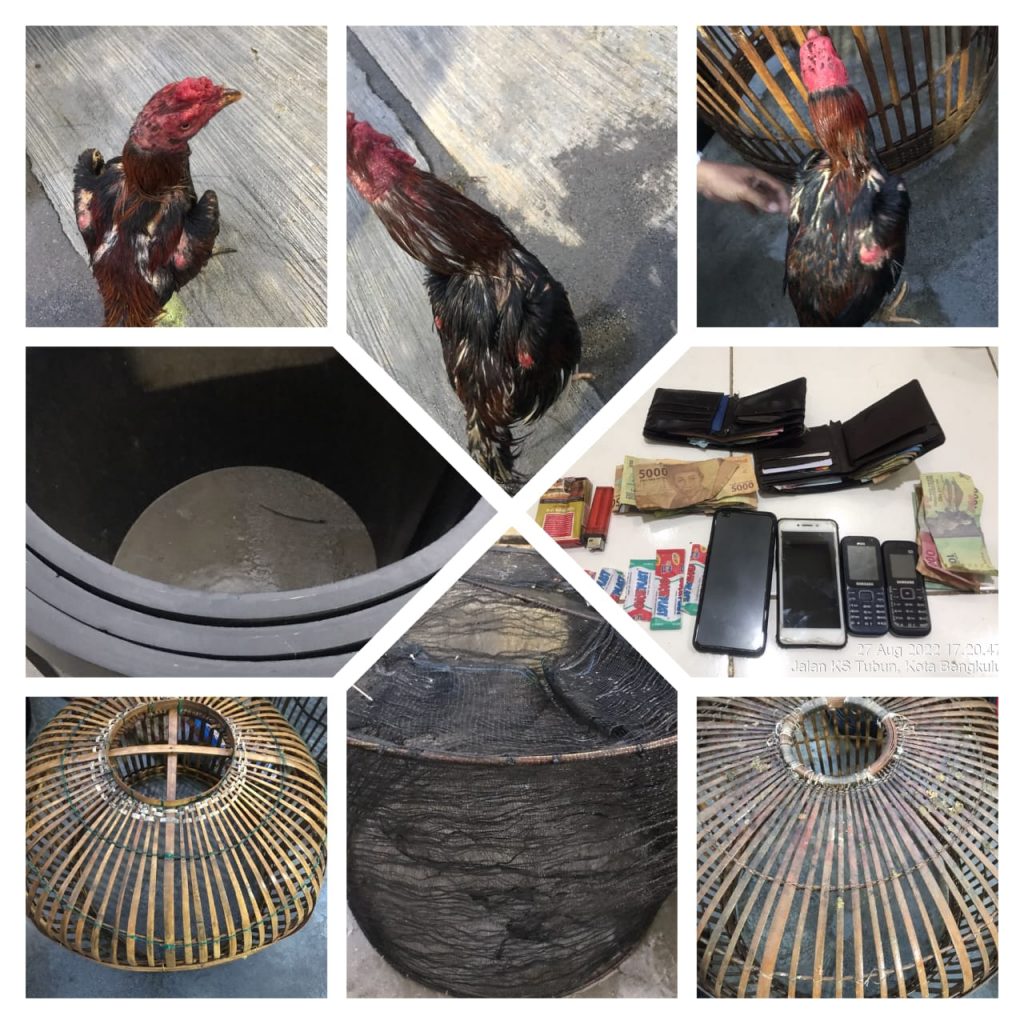 Lima orang pelaku judi sabung ayam diamankan personil Polsek gading cempaka
