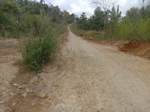 Pengerjaan Jalan Rabat Beton Desa Koto Baru Diduga Tidak Sesuai Spek