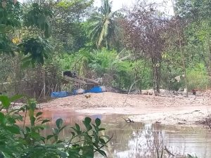 GAWAT.!!! AKTIVITAS PETI DI RIMBO BUJANG SUDAH HAMPIR KE JALAN LINTAS PELAKU PETI MERASA KEBAL HUKUM