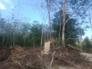 Ngaku Dibekingi Oknum Anggota Kodim, AT Dan JJ Bebas Operasikan Tambang Emas Ilegal