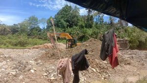 Satu Unit Excavator  Bebas Beroprasi Di Tambang Emas Ilegal Wilayah Bataran Sungai Batang Masumai