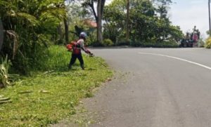 Penebasan Rumput Liar Di Sejumlah Titik Mulai Dilaksanakan Dinas PUPR Kepahiang