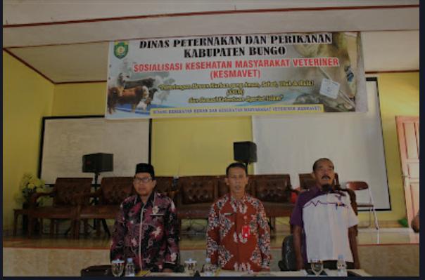 Dinas Peternakan Bungo Sosialisasi Pemotongan Hewan Kurban