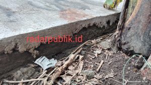 Tak Sesuai Spek, Jalan Rabat Beton Desa Cugung Lalang Diduga Sarat Dengan Korupsi