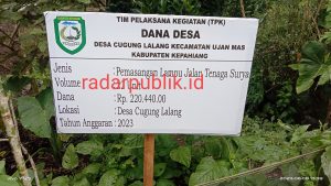 Telan Dana Hingga 220 Juta, Pemasangan Lampu Tenaga Surya Desa Cugung Lalang Dikeluhkan Warga