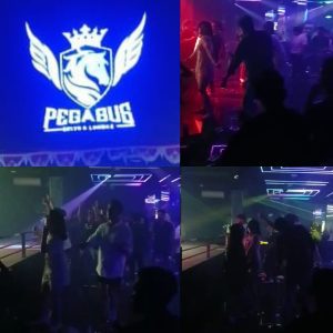 luar biasa meski Izin Pub dan Bar Dicabut, PEGASUS Masih Nekat Beroperasi