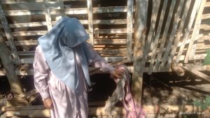 Ditinggal Tahlilan Kambing Milik Warga Desa Bogor baru Digasak Maling