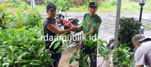 Realisasi Ketahanan Pangan, Pemdes Sungai Jernih Bagikan Bibit Mangga