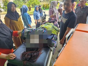 News…! Seorang Perempuan di Merangin Tewas Ditikam, Diduga Korban Pembunuhan