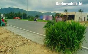 Penjual rumput gajah odot di pertigaan kawasan jalan GORR Kecamatan Tapa, Bone Bolango