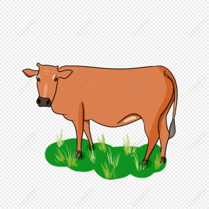 Warga Desa Pagar Dewa Mengeluhkan Adanya Sapi Yang selalu Berkeliaran