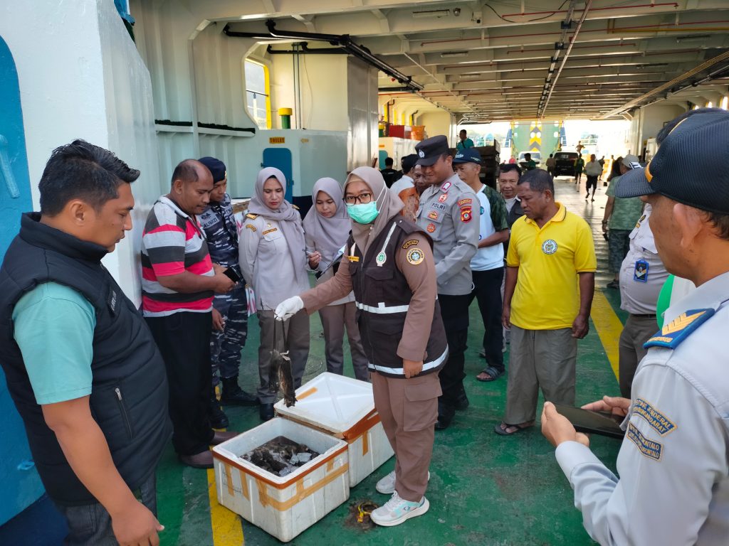 Personil Polsek Kawasan Pelabuhan Gorontalo Amankan 60 Kilogram Tikus Siap Konsumsi.