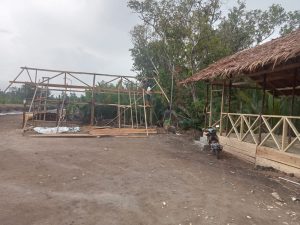 APH Diminta Tindaki,Oknum Kepala Desa Yang Diduga Merusak Mangrove.