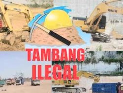 PETI Merajalela, Masyarakat Pelepat Minta Satgas Turun Kelapangan