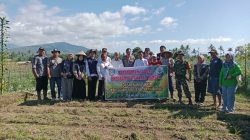 Penanaman Jagung 1 Hektar, BUMDes Bumi Asri Dukung Ketahanan Pangan di Desa Bumi Sari