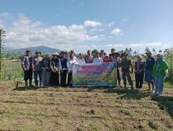 Penanaman Jagung 1 Hektar, BUMDes Bumi Asri Dukung Ketahanan Pangan di Desa Bumi Sari