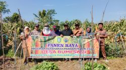 Panen Raya Program Ketahanan Pangan 2025 di Desa Bumi Sari‎