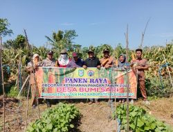 Panen Raya Program Ketahanan Pangan 2025 di Desa Bumi Sari‎