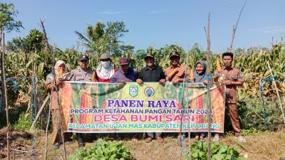 Panen Raya Program Ketahanan Pangan 2025 di Desa Bumi Sari‎